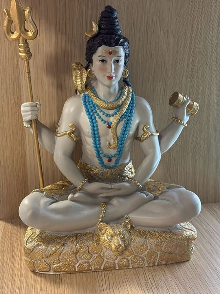 Shiva Resina 28X21X10cm 1