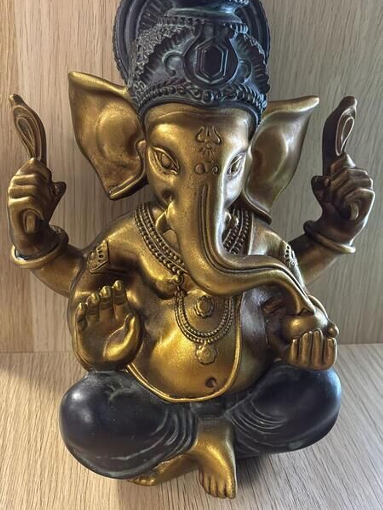 Ganesh resina 25X20X13cm 1