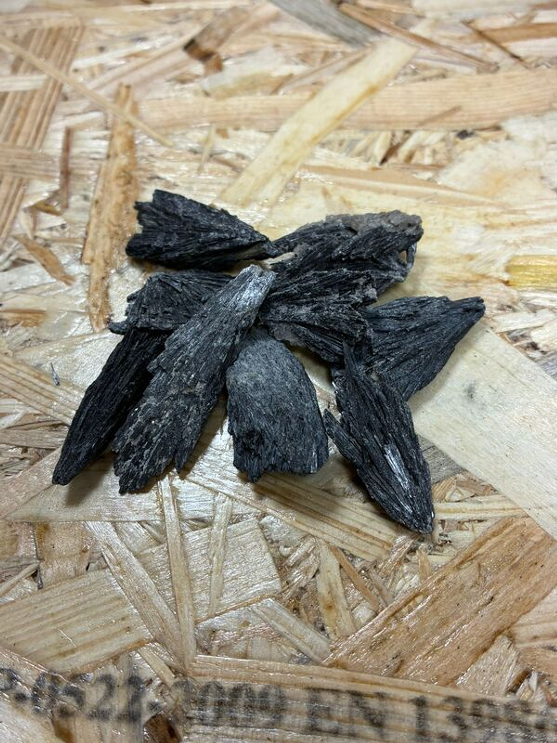 Unid.  Cianite Negra (Vassoura da Bruxa) 1