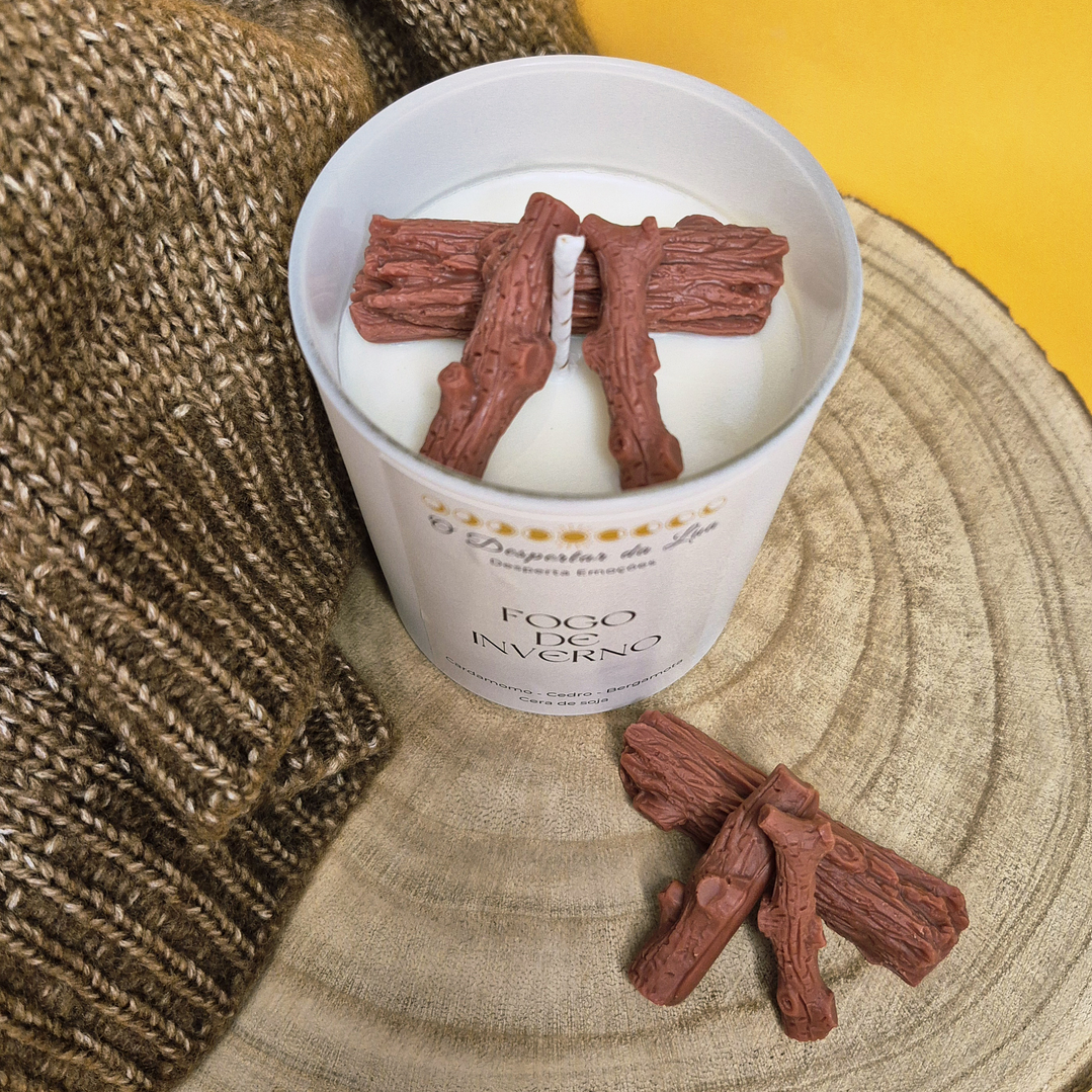 Fogo de Inverno  2