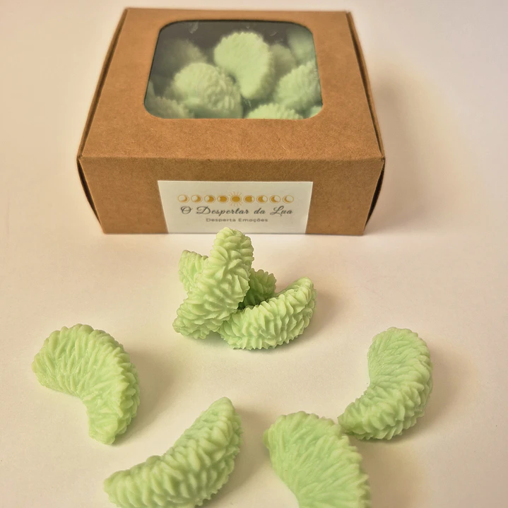 Wax Melts 3