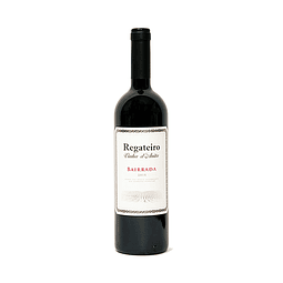 VINHO TINTO REGATEIRO VINHA D´ANITA 1,5LT 2015 