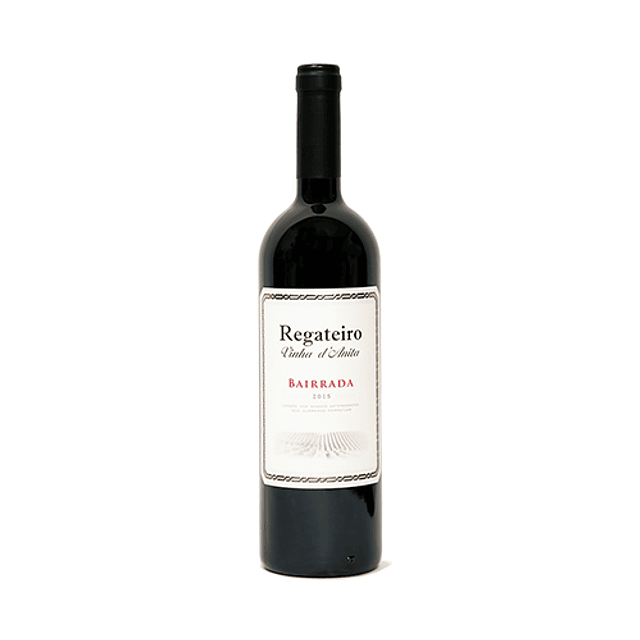 VINHO TINTO REGATEIRO VINHA D´ANITA 1,5LT 2015 