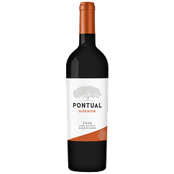 VINHO TINTO PONTUAL SUPERIOR 2021