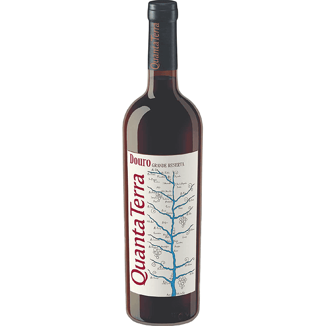 VINHO TINTO QUANTA TERRA GRD RESERVA 2019 14,5%VOL 75CL