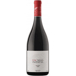 V.TINTO ESCADAS INFINITAS DOURO 2020 13ºVOL 75CL