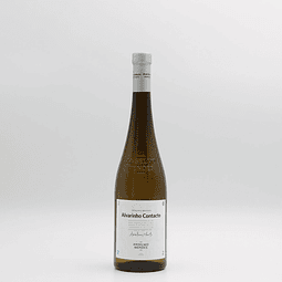 V.VERDE ALVARINHO CONTACTO ANSELMO MENDES 2022