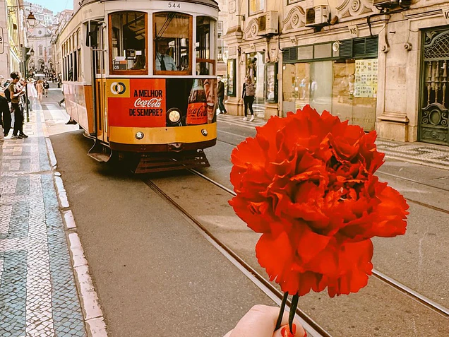 Tote Bags do 25 de Abril: O Guia Completo para Descer a Avenida da Liberdade em Liberdade 🌹