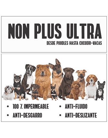 Cover dog PLUS ULTRA con Alas y Correa - PROMO hasta el 30 DE ABRIL DEL 2023