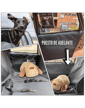 Cover dog PLUS ULTRA con Alas y Correa - PROMO VALIDA hasta el 30 DE JULIO DEL 2023 solo para seguidores de face instagram y tik tok
