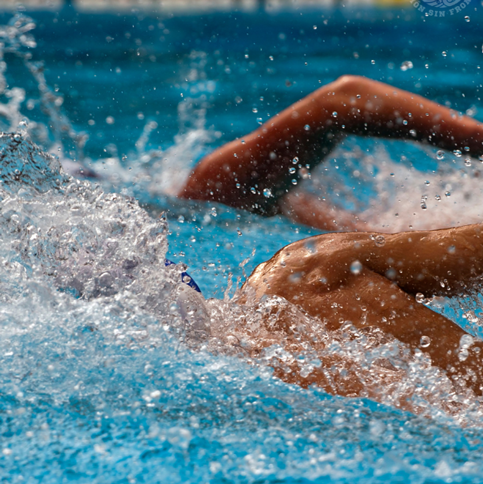 Fuerza y Musculatura