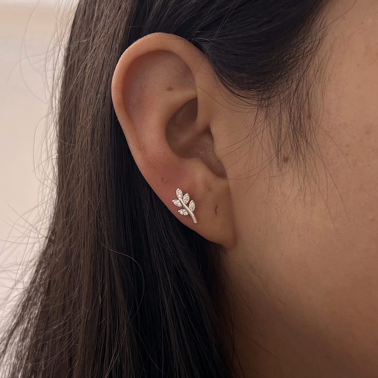 Arito Petite Hojita 1