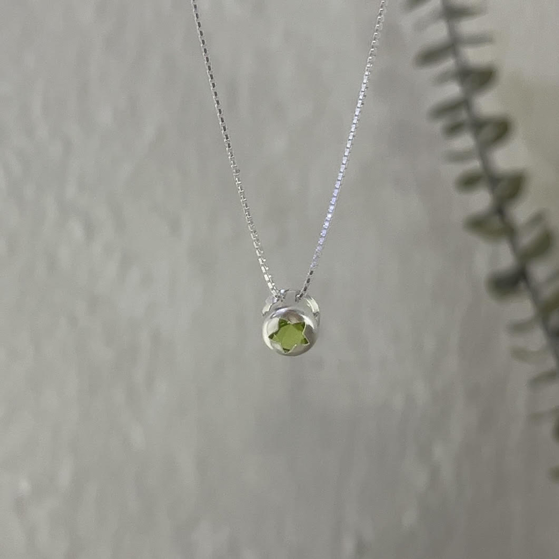 Estrella Guia - Punto de Luz Abundancia  1