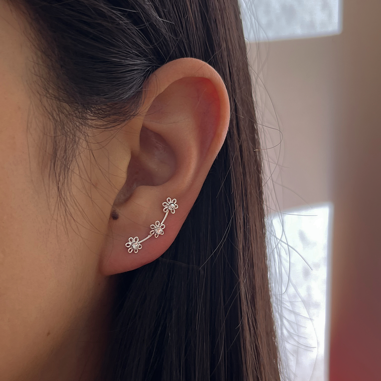 Arito Trepador Flores 1