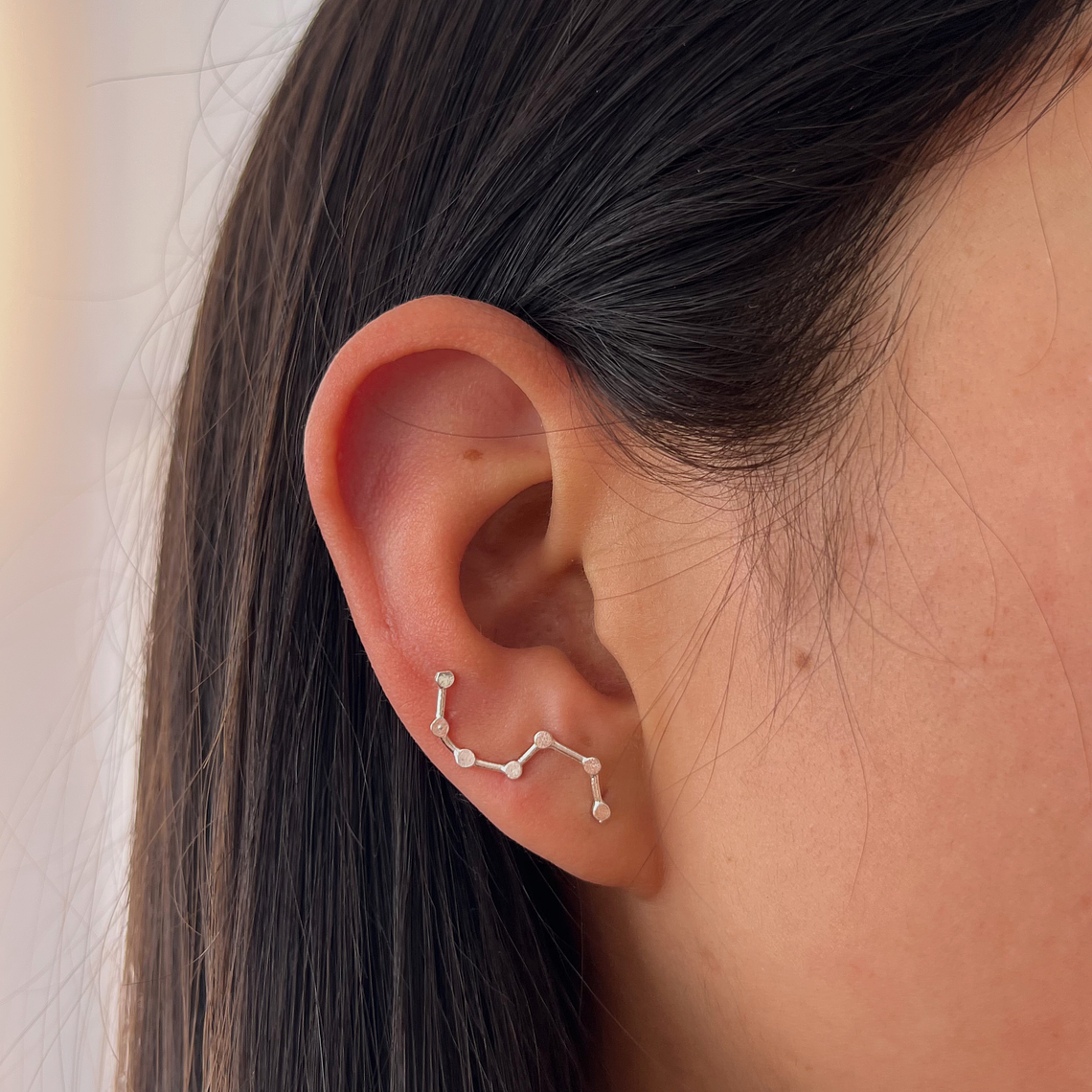 Arito Trepador Cosmos 1