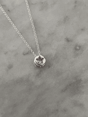 Punto de Luz - Estrella Guía Empoderamiento