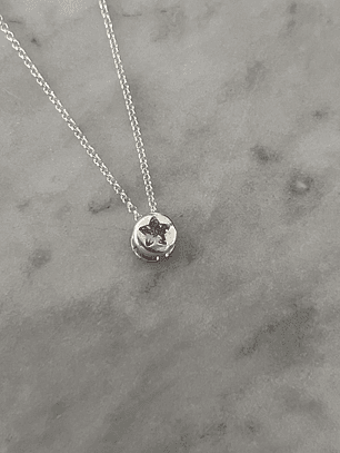 Punto de Luz - Estrella Guía Empoderamiento