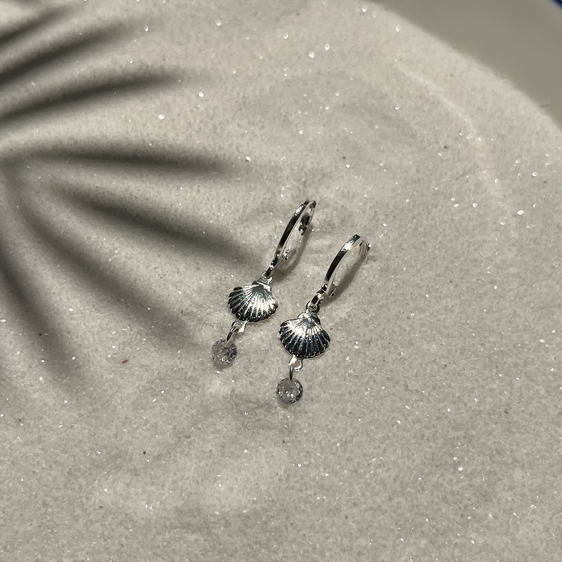 Argolla Shell Shine 1