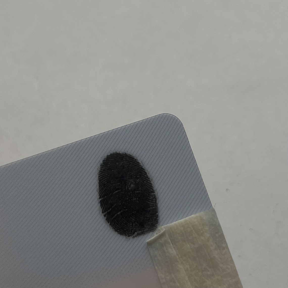 Collar Huellas Personalizado 4