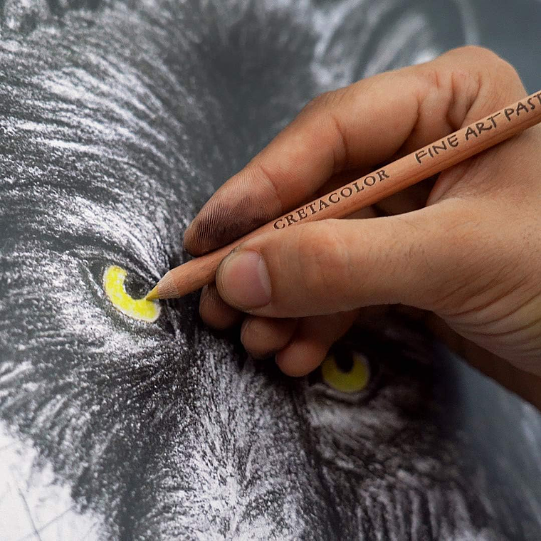 CRETACOLOR Wolf Box, conjunto de desenho preto e branco, 25 peças 3