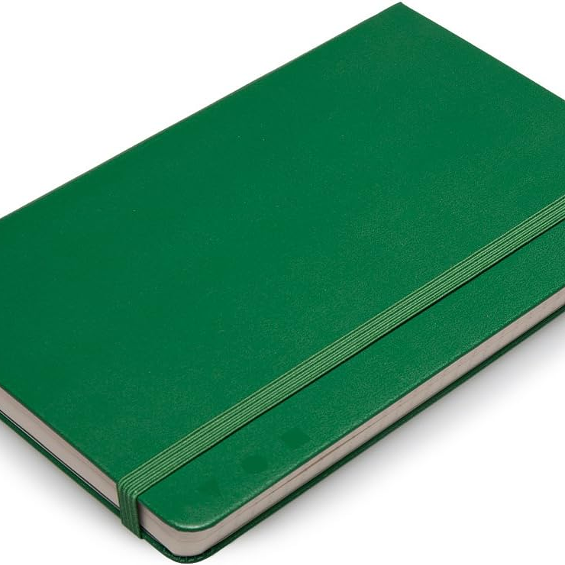 Moleskine - Pro Collection capa dura, cor verde óxido, grande 13 x 21 cm 2