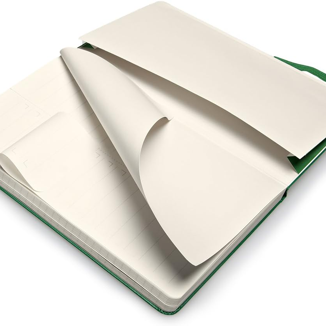 Moleskine - Pro Collection capa dura, cor verde óxido, grande 13 x 21 cm 3