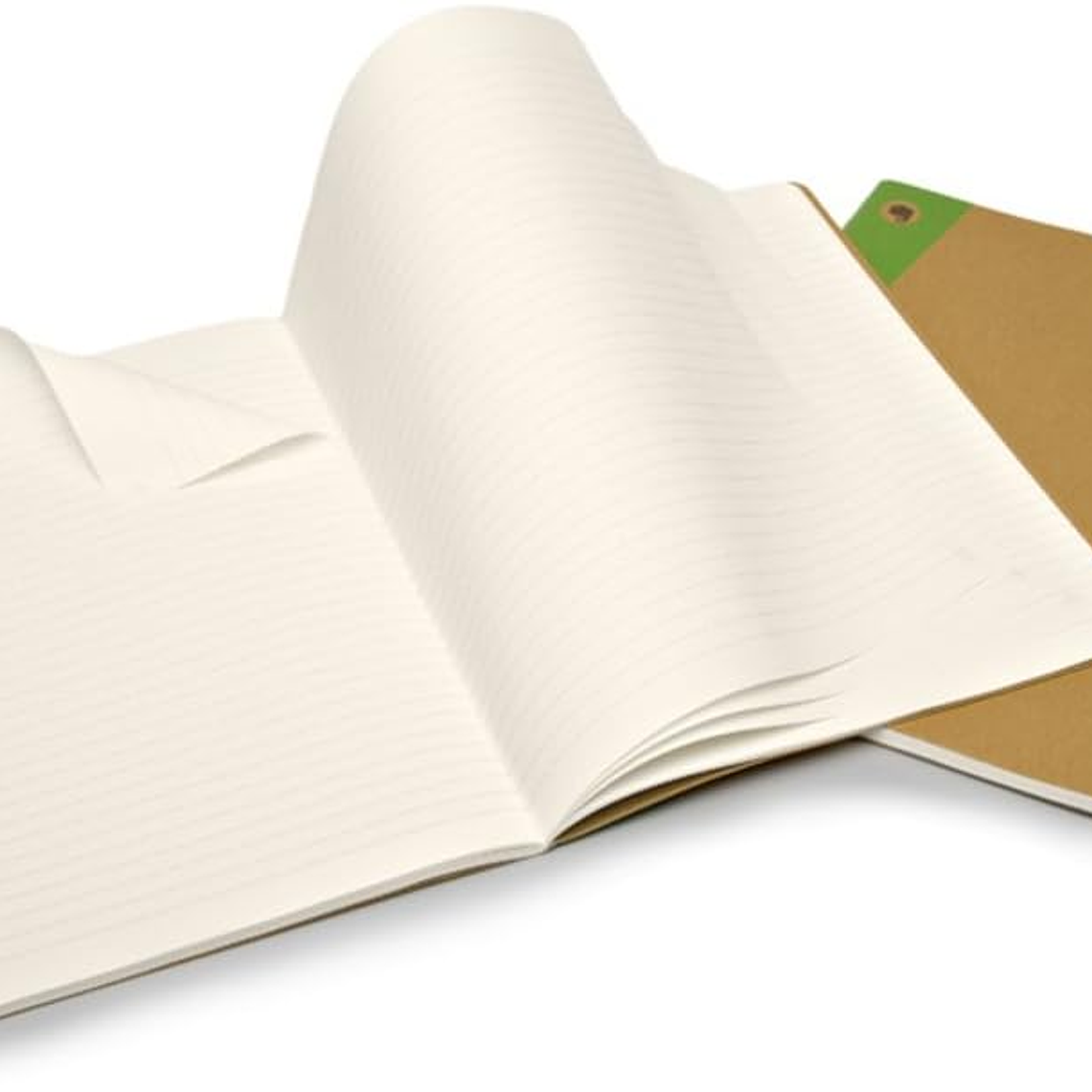 Moleskine Cahier Evernote Conjunto de 2 cadernos Extra Grandes Evernote 4