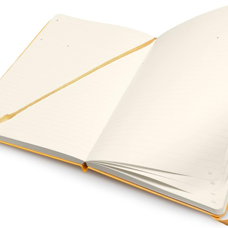 Moleskine - Pro Collection capa dura, cor verde óxido, grande 13 x 21 cm 4