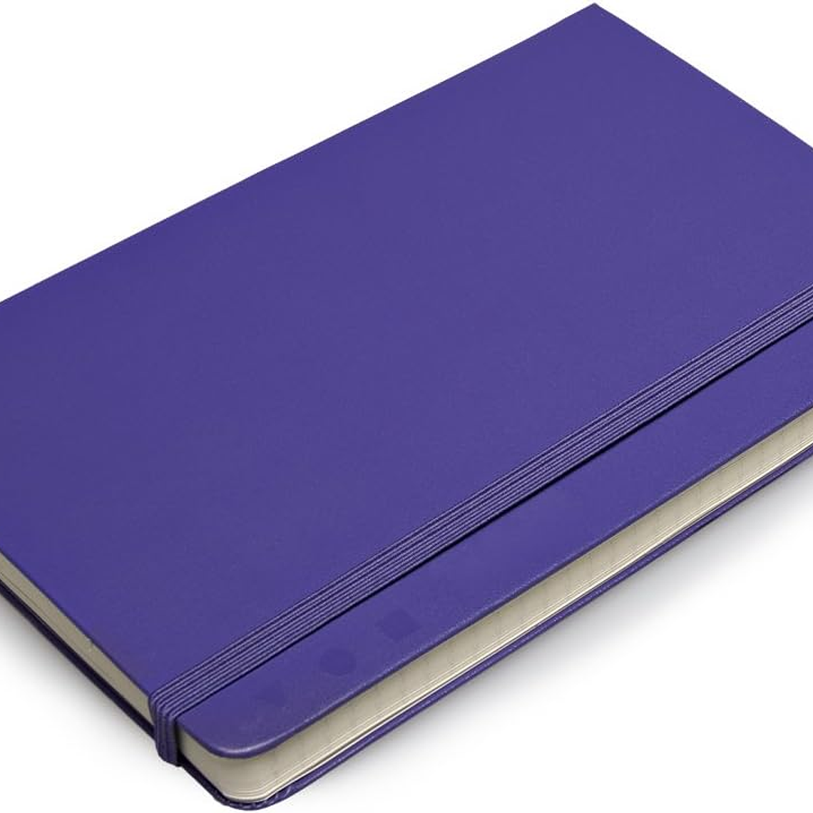 Moleskine - Pro Collection, caderno de escritório, bloco de notas de trabalho, capa dura, cor púrpura brilhante, grande 13 x 21 cm, 240 páginas 2