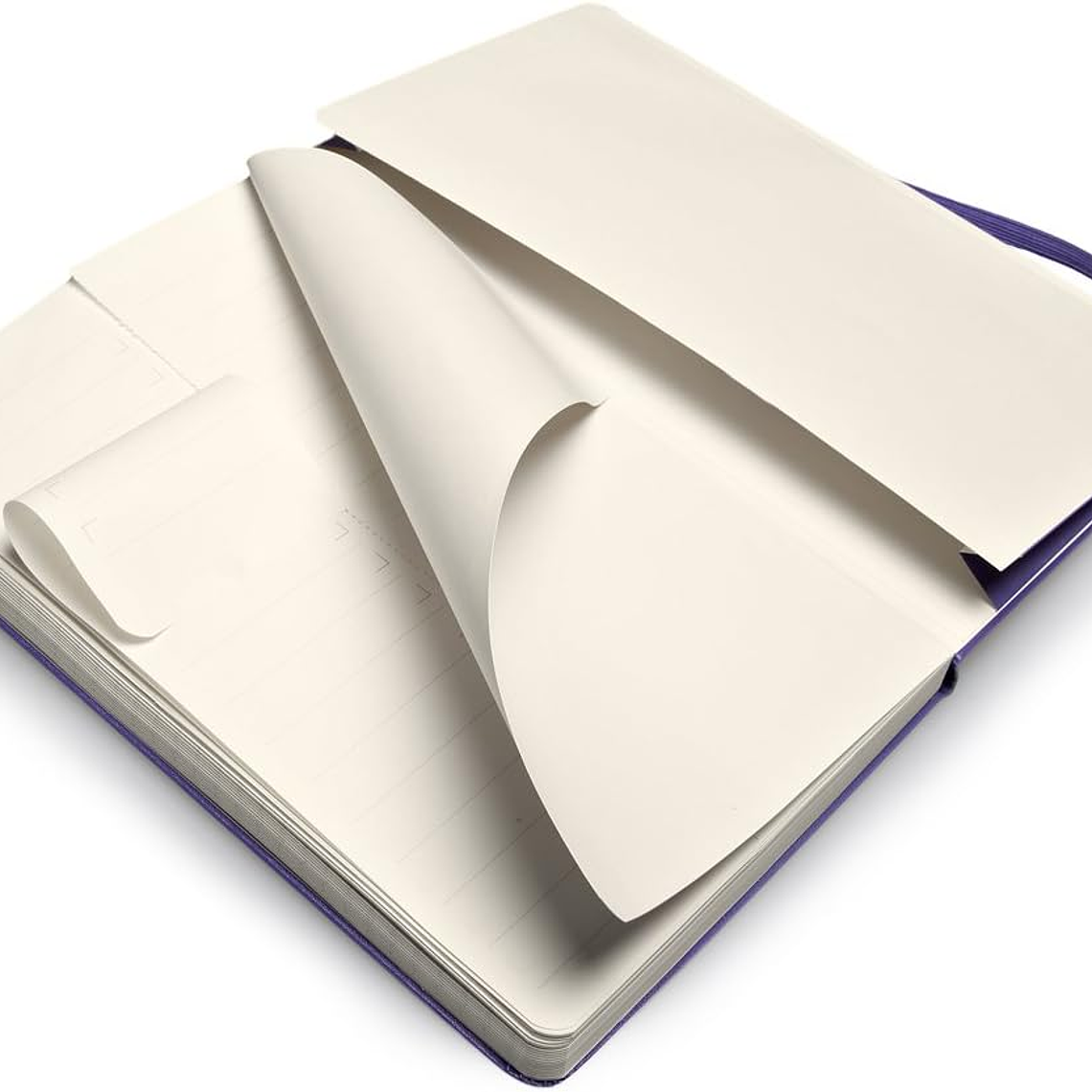 Moleskine - Pro Collection, caderno de escritório, bloco de notas de trabalho, capa dura, cor púrpura brilhante, grande 13 x 21 cm, 240 páginas 3