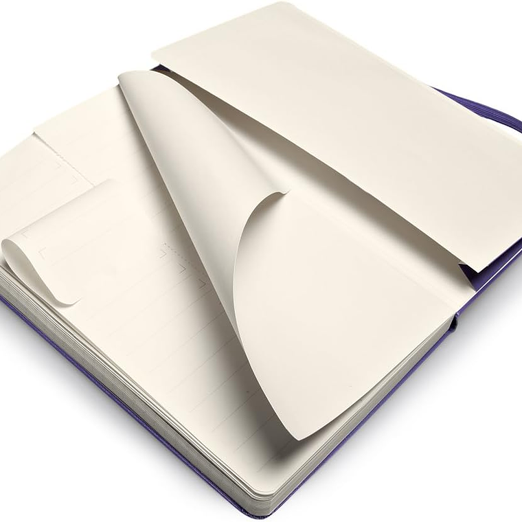 Moleskine - Pro Collection, caderno de escritório, bloco de notas de trabalho, capa dura, cor púrpura brilhante, grande 13 x 21 cm, 240 páginas 3