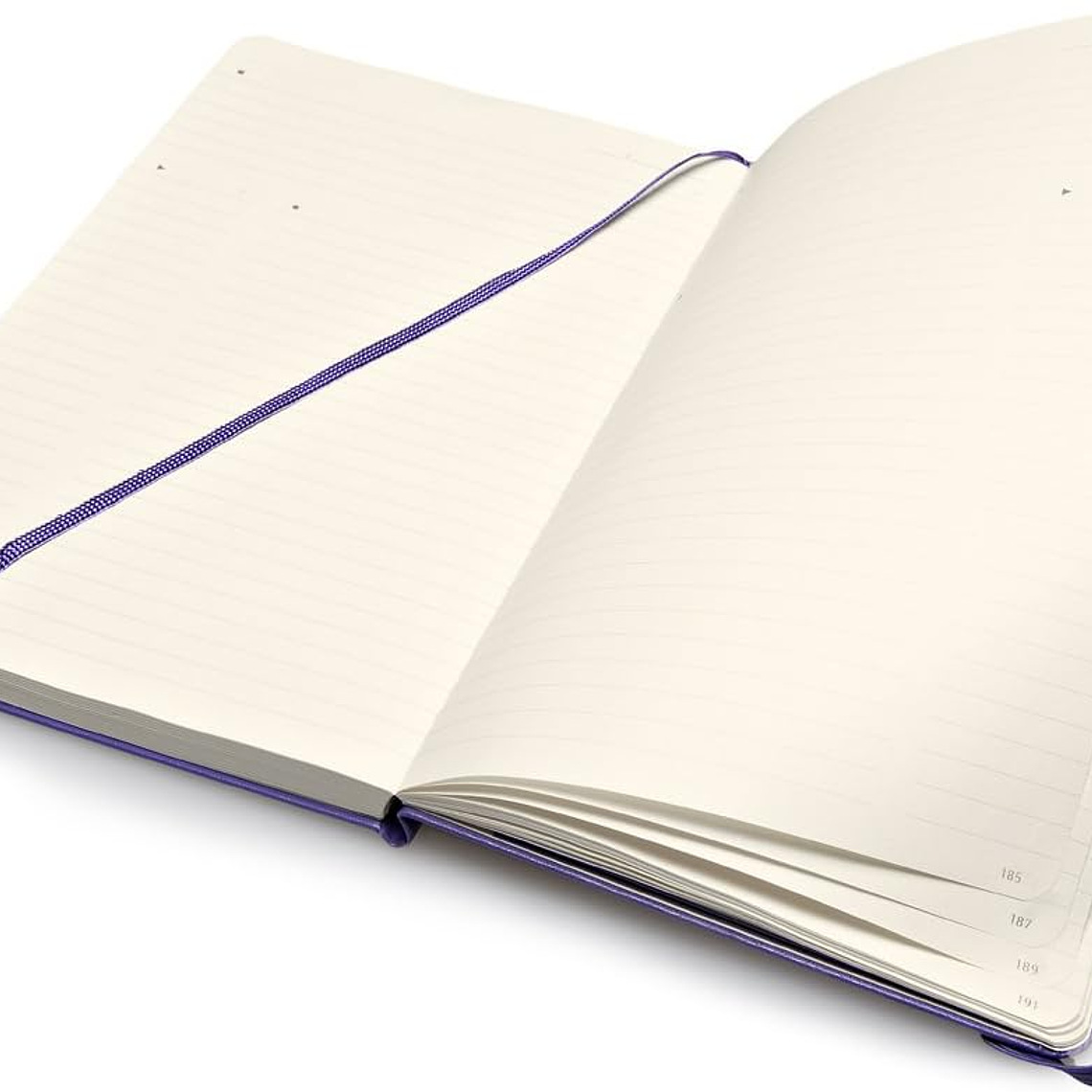Moleskine - Pro Collection, caderno de escritório, bloco de notas de trabalho, capa dura, cor púrpura brilhante, grande 13 x 21 cm, 240 páginas 4