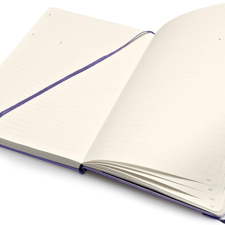 Moleskine - Pro Collection, caderno de escritório, bloco de notas de trabalho, capa dura, cor púrpura brilhante, grande 13 x 21 cm, 240 páginas 4