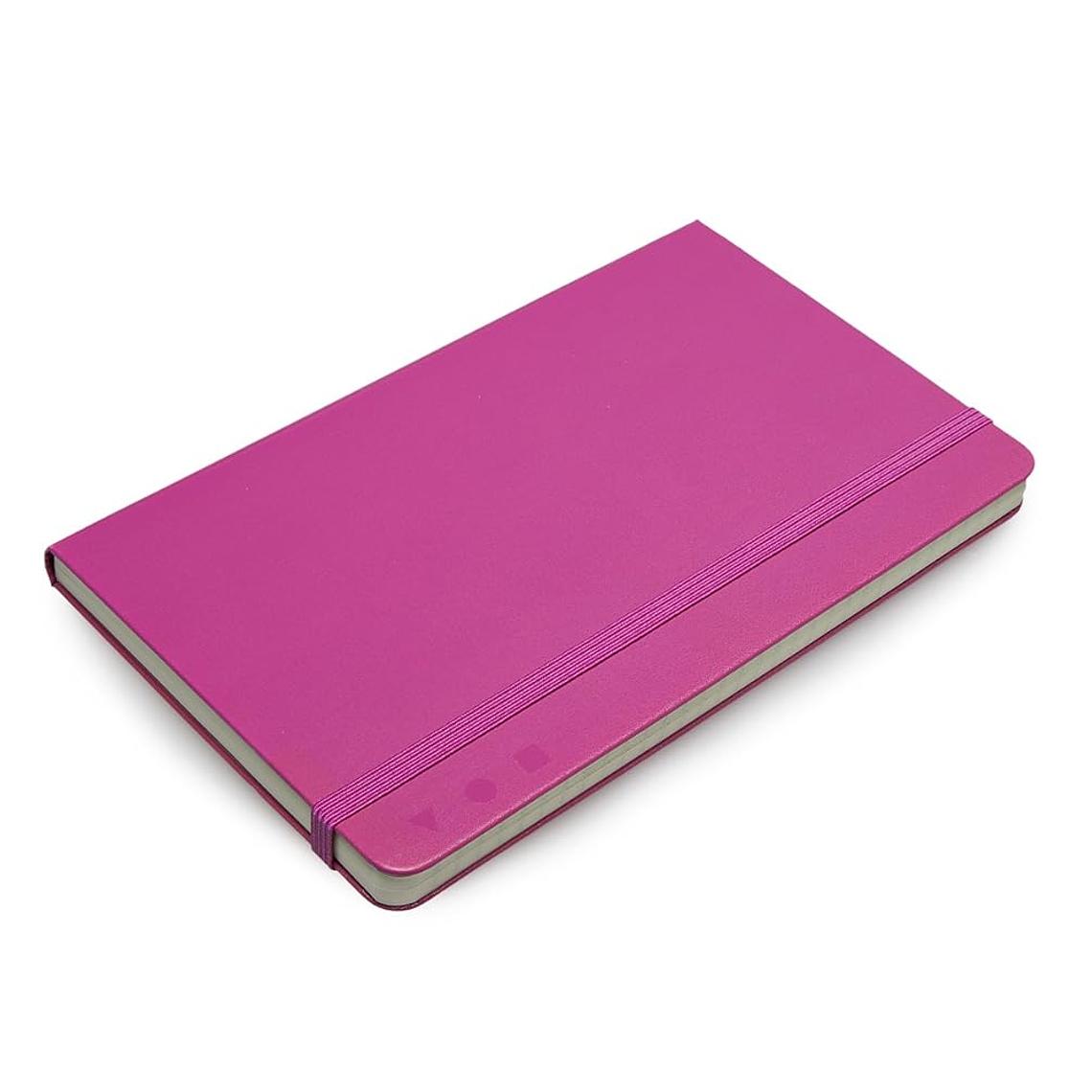 Moleskine - Pro Collection, caderno de escritório, bloco de notas de trabalho, capa dura, cor rosa, grande 13 x 21 cm, 240 páginas 2