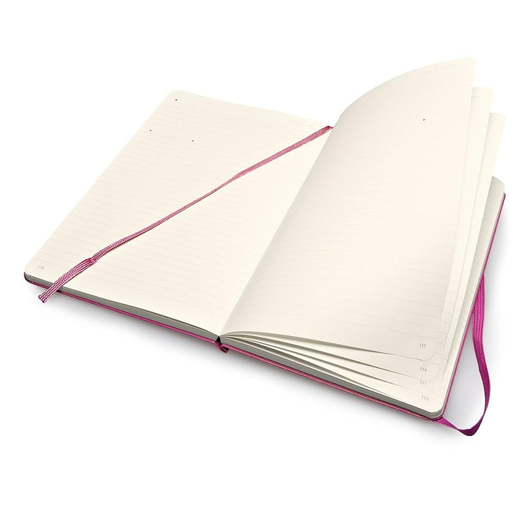 Moleskine - Pro Collection, caderno de escritório, bloco de notas de trabalho, capa dura, cor rosa, grande 13 x 21 cm, 240 páginas 3