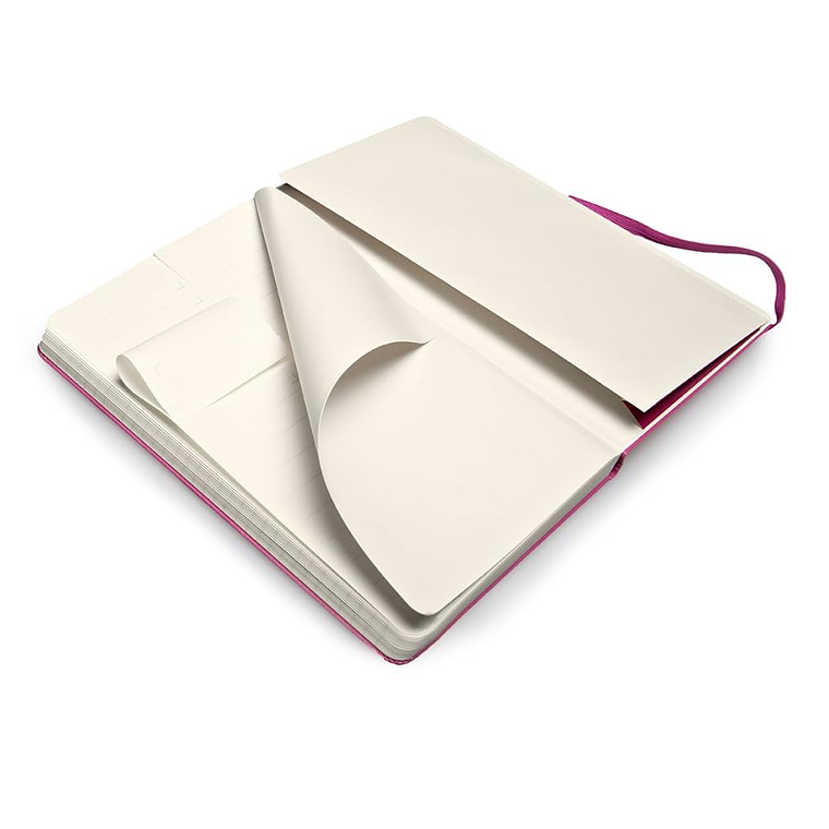 Moleskine - Pro Collection, caderno de escritório, bloco de notas de trabalho, capa dura, cor rosa, grande 13 x 21 cm, 240 páginas 4