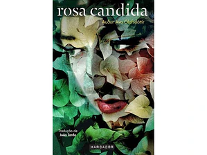 Rosa Cândida