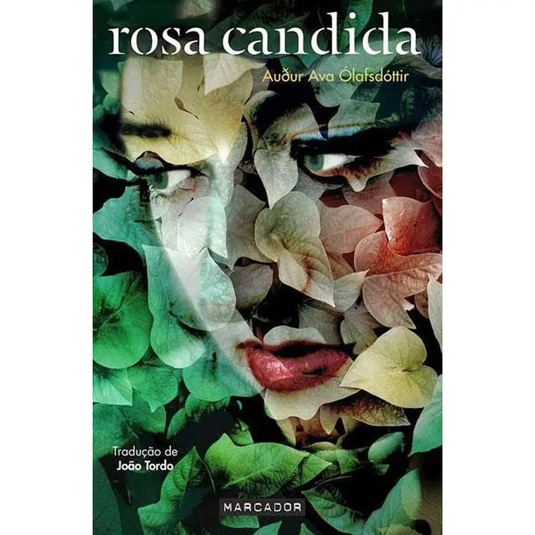 Rosa Cândida 1