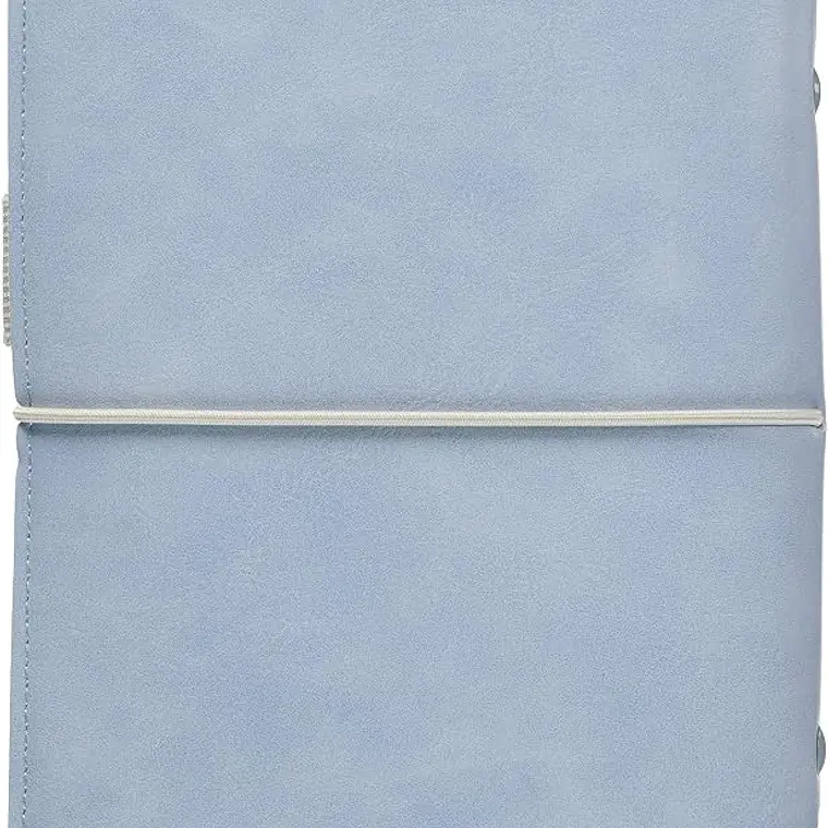 Filofax Organizador Domino cor azul pálido 1