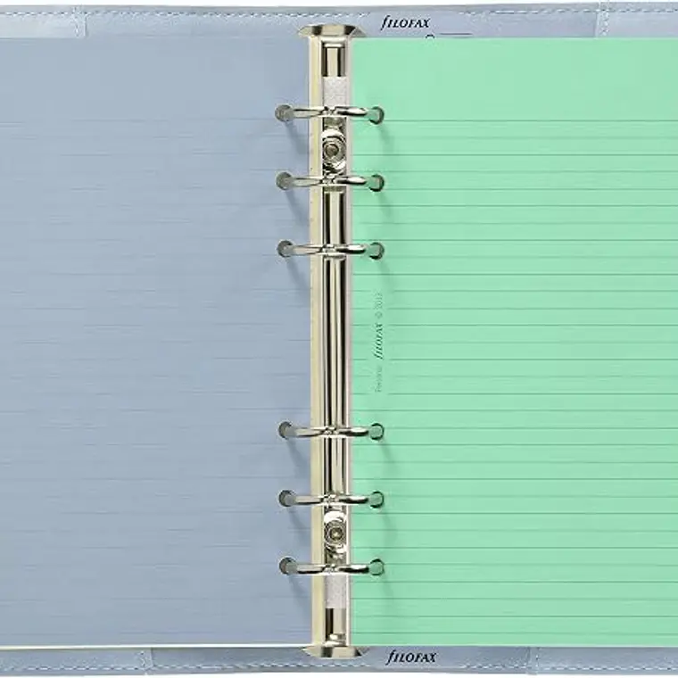 Filofax Organizador Domino cor azul pálido 2
