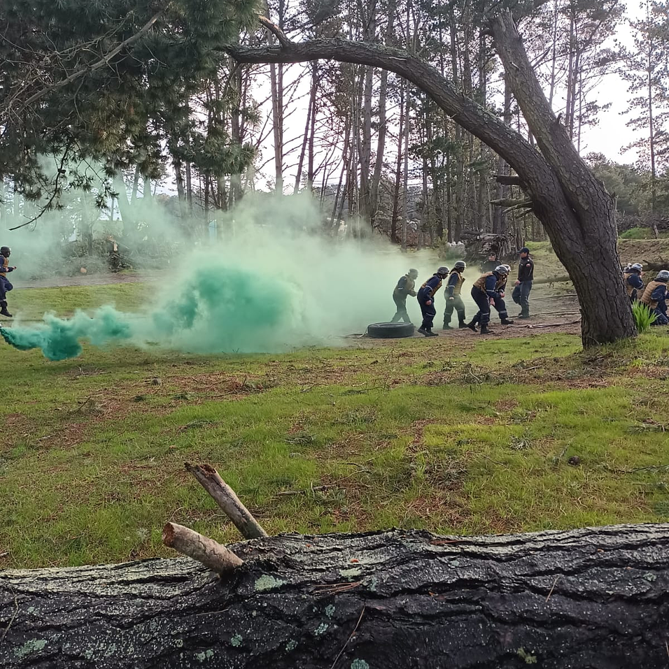 Curso CTAP Armada de Chile<br>
<br>