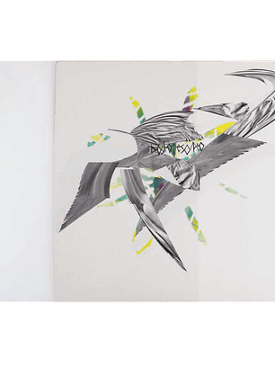 Fundas externas de PVC para discos de vinilo de 12