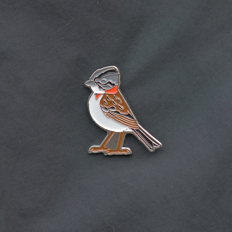Pin Chincol 2