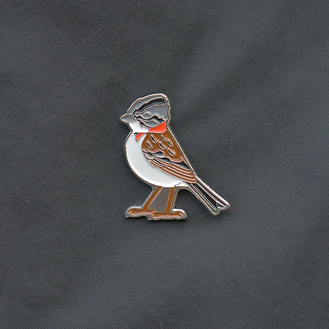 Pin Chincol