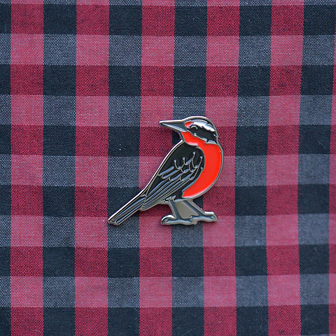 Pin Loica