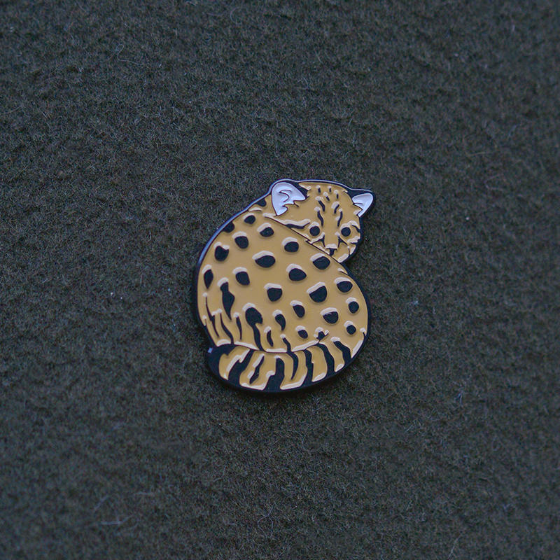 Pin Güiña 2