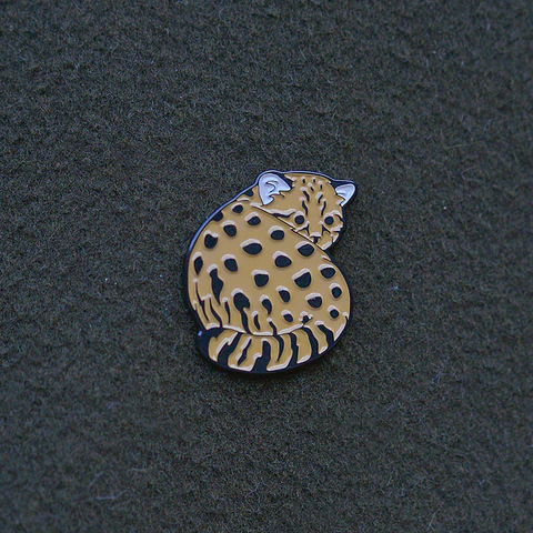 Pin Güiña