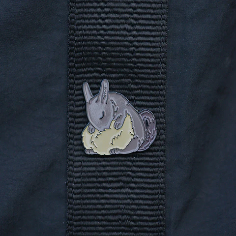 Pin Vizcacha