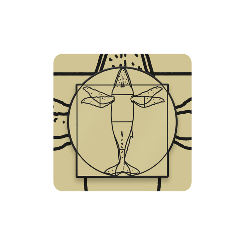 Pin Ballena Jorobada (vitruvio) 1