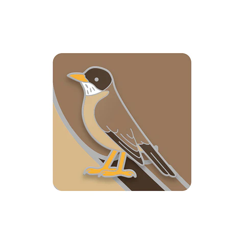 Pin Zorzal